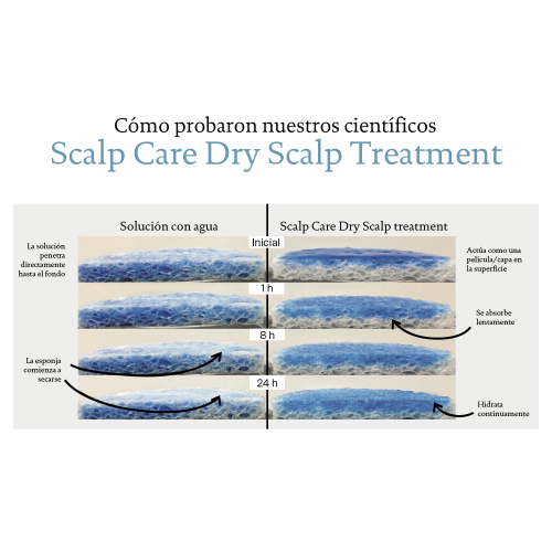 SCALP CARE DRY Treatment 100 ml - Imagen 4